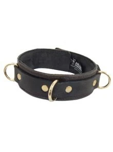 Aslan Steam Punk Collar