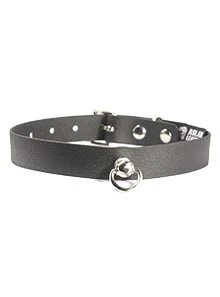 Aslan Vegan Princess Collar