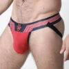 Kennel Club Bandit Jock, Red