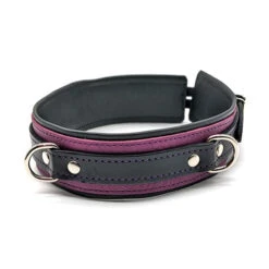 Leather Collar With Locking Buckle, Grape/Black