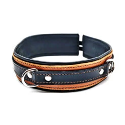 Leather Collar With Locking Buckle, Honey/Black