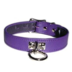 Locking Buckle Collar With O-Ring, Purple