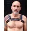 Maverick Chest Harness, Black