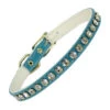 One Row Rhinestone Collar, Turquoise