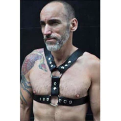 Thor Chest Harness